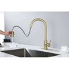 Pull-Out Sprayer Kitchen Faucet?for Enhanced Utility - image 2 of 4