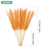 Unique Bargains Dried Plants Artificial Durable Small Fluffy Pampas Grass for Home, Office, Party 20 Pcs 21.7 Inch - 3 of 4