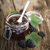 Van Zyverden Thornless Triple Crown Blackberry Root - 3 of 4