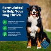 Blue Buffalo Life Protection Formula Natural Adult Dry Dog Food with Lamb and Brown Rice - 4 of 4