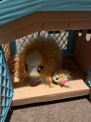 Guest review image 6 of 6, zoom in