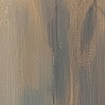 montalcino elm