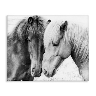 Stupell Industries Horse Love Duo Portrait, 30" x 24"