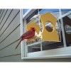 JCS Wildlife Diner 9 Window Bird Feeder - Holds 3 Cups - 2 of 4