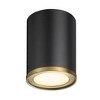 Z-Lite Arlo 1 - Light Flush Mount in  Matte Black/Rubbed Brass - 2 of 4