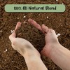 Soil Sunrise Monstera Houseplant Potting Soil Mix, Custom Blend for Growing & Repotting - 4 of 4