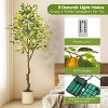 Artificial Lemon Tree Indoor, Pre-lit Potted Faux Lemon Tree with Fruit and Leaves, Lemon Plant with Lights for Home Decor Office Living Room - 3 of 4