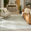 Nourison Grace Vintage Indoor Area Rug - 2 of 4