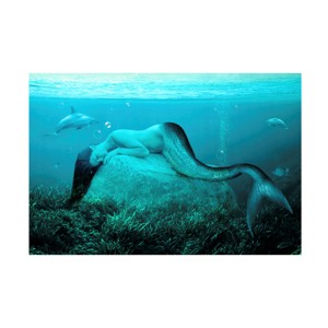 Trademark Fine Art -Ata Alishahi 'Sleeping Mermaid' Canvas Art - 1 of 4