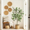 Artificial Ficus Tree Indoor, Faux Silk Plant with Wood Trunk, Lifelike Fruits, Planter & Moss for Home Office Decor - 3 of 4