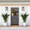 Tall Planter Set of 2, Self Watering Pots, Large Flower Pot with Water Level Monitor, for Patio, Porch, Living Room, Home Office - 3 of 4