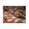 Trademark Fine Art Leslie Montgomery Waiting For Love Wood Slat Art - 3 of 4