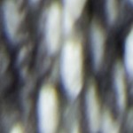 Grey Wave
