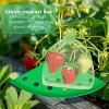 8Pcs Strawberry Planting Kit with 20Pcs Insect-proof Mesh Bag Reusable Strawberry Growing Racks Frame Protecting Strawberry Plants - 4 of 4