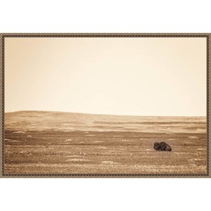 Amanti Art Badlands Bison Sepia by Nathan Larson Canvas Wall Art Print Framed 23 x 16-in. - 1 of 4