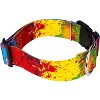 Country Brook Petz 1 1/2 Inch Deluxe Dog Collar - Groovy Collection - 4 of 4