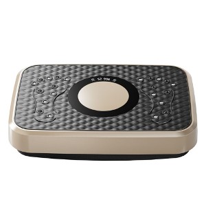 Naysaye Exercise Trainers Vibration Plate Fitness Platform Whole Body for Lymphatic Drainage Shaking Workout Board, Golden Black, 20.5"*14.2"*4.5" - 1 of 4