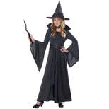California Costumes Moonlight Shimmer Witch Child Costume