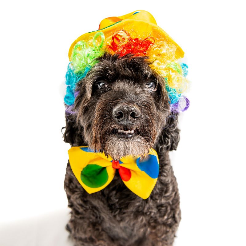 Midlee Clown Dog Costume Hat Wig & Bowtie, 5 of 10
