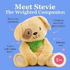 Lilly's Love Weighted Stuffed Animal, Sensory Plush Fluffy Toy for Kids & Adults - 3 of 4