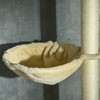 Gulches PawHut Floor to Ceiling Cat Tree 90.5" - 98.5" Adjustable Height Cat Climbing Tower with Carpeted Platforms - 2 of 4