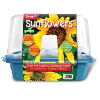 Unique Gardener Dwarf Sunflowers