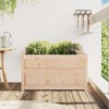 vidaXL Garden Planter Outdoor Flower Box Solid Pine Wood 35.4"x19.7"x19.7" for Vegetables, Flowers, and Climbing Plants - 3 of 4
