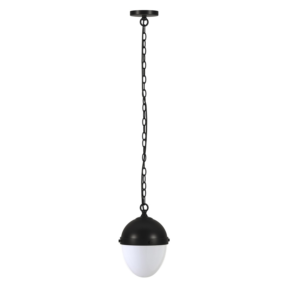 Hudson and Canal 9" Wide Pendant: Blackened Bronze, Adjustable Chain, UL Listed, Metal & Glass