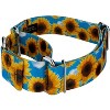 Country Brook Petz® 2 Inch Martingale Dog Collar - 4 of 4