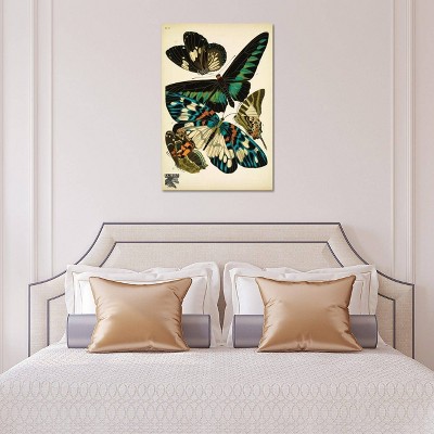 Papillons Butterflies Multicolor Canvas Wall Art 18x12