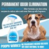 Pooph Dog Odor & Stain Eliminator - 20 fl oz - 4 of 4