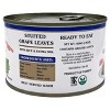 Eastern Feast - Stuffed Grape Leaves, 14 oz / 400g, (4 PACK) Vegan, Kosher - 3 of 4