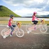 Prorider 18" Kid's Bike with Training Wheels Adjustable Handlebar Seat Handbrake Blue/Green/Pink - 4 of 4