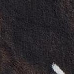 black brown