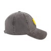 Disney Adult Winnie The Pooh Cotton Adjustable Dad Hat - 4 of 4