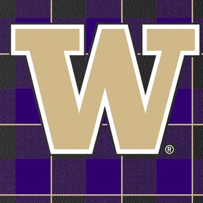 washington huskies