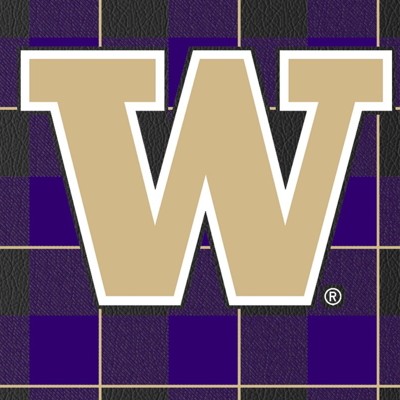 washington huskies