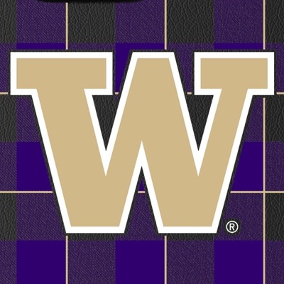 washington huskies