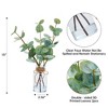 13" Artificial Eucalyptus in Glass Vase (Set of 2). Realistic faux stems with double-sided leaves for home, table, or bathroom decor. - 2 of 4