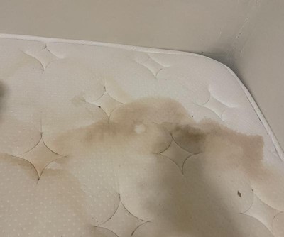 Guest review image 2 of 4, zoom in
