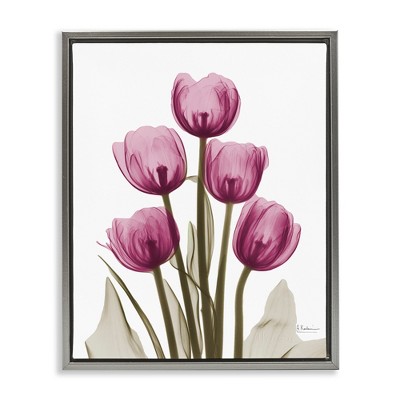 Stupell Industries Pink X-Ray Tulips, 17" x 21"