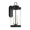 Savoy House Englewood 3 - Light Wall Light in  Matte Black - 4 of 4