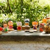Timber Tots: Klorofil Family - 7 Mini Figures, Forest Friends Playset, Kids 18Mo - 3 of 4