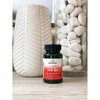 Swanson Omegas and Fish Oil 100% Pure Krill Oil 500 mg Softgel 60ct. - 3 of 4