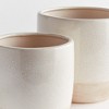 Plum & Post Leona Flowerpot Planters Set of 2 - 2 of 3