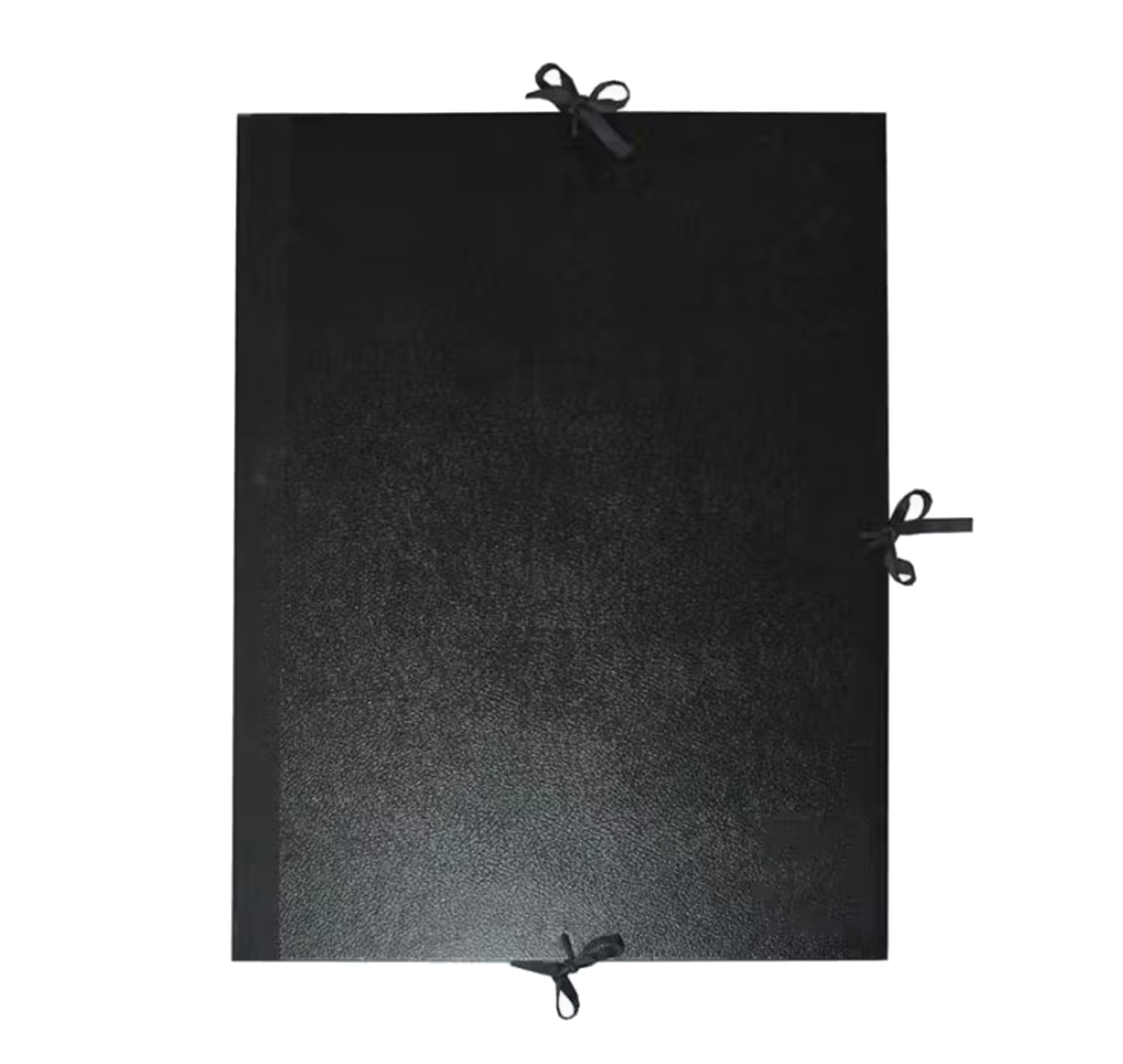 Daler-Rowney Cachet Classic Portfolio with Flaps, 23" x 31"
