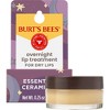 Burt's Bees Natural Overnight Intensive Lip Treatment - Ultra-Conditioning Lip Care - 0.25oz - 2 of 4