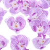 Unique Bargains Silk Plastic Durable Handcrafted Artificial Orchid Flower Heads 20 Pcs - 2 of 4