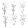 Birch Twig Branch (Set of 6) - 2 of 4