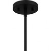 Quoizel Lighting Burbidge 1 - Light Pendant in  Matte Black - 3 of 4